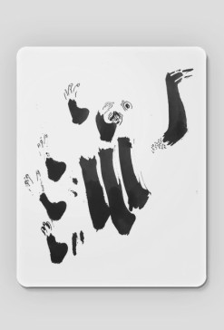 żółw