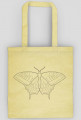 Motyl 01