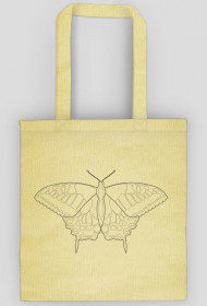 Motyl 01