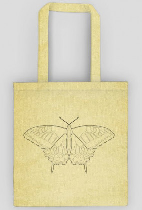 Motyl 01