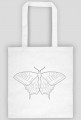 Motyl 01