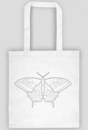 Motyl 01