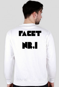 Facet nr. 1