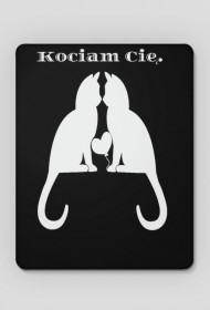 Kot cat koty cats kociam cię