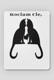 Kot cat koty cats kociam cię