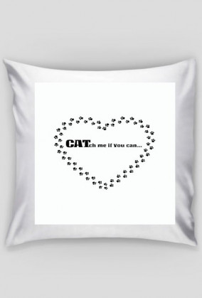 kot koty łapki cat cats serce heart
