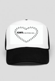 kot koty łapki cat cats serce heart