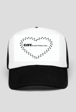 kot koty łapki cat cats serce heart