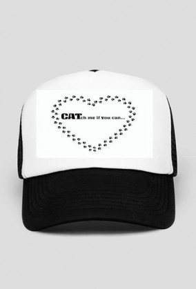 kot koty łapki cat cats serce heart