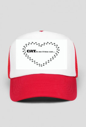 kot koty łapki cat cats serce heart