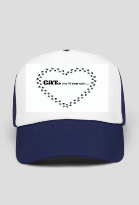 kot koty łapki cat cats serce heart