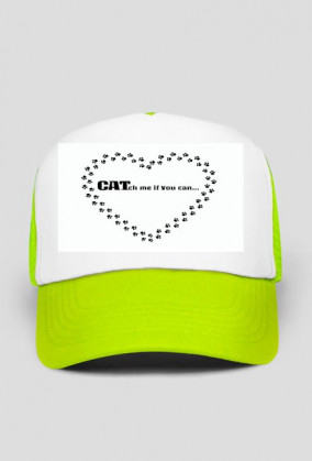 kot koty łapki cat cats serce heart