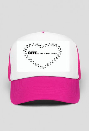kot koty łapki cat cats serce heart