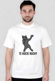 Te kocie ruchy