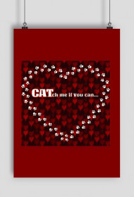 kot koty łapki cat cats serce heart