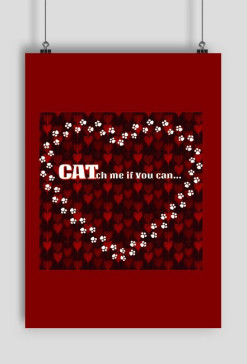 kot koty łapki cat cats serce heart