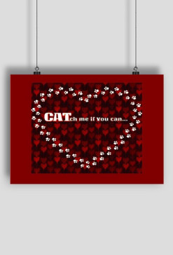 kot koty łapki cat cats serce heart