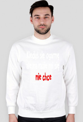 Kiedyś się ogarnę ale na razie mi się nie chce-bluza męska