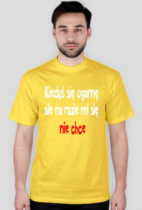 Kiedyś się ogarnę ale na razie mi się nie chce-koszulka męska