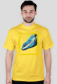 Lizard2 M