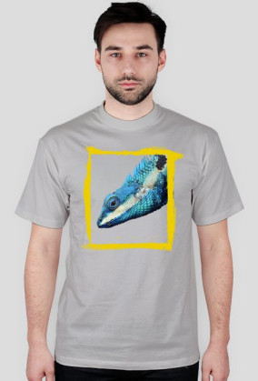Lizard2 M