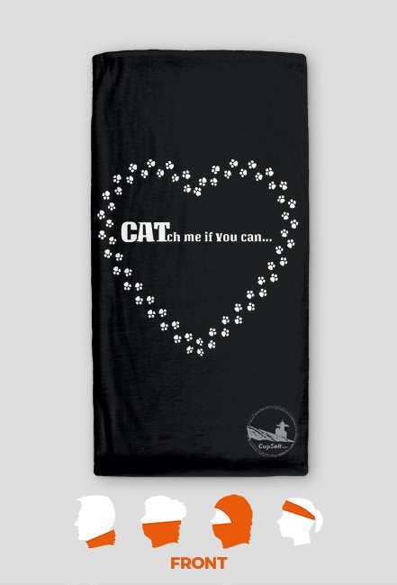 kot koty łapki cat cats serce heart