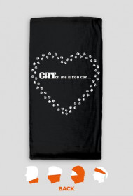 kot koty łapki cat cats serce heart