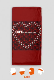 kot koty łapki cat cats serce heart