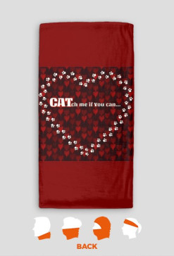 kot koty łapki cat cats serce heart