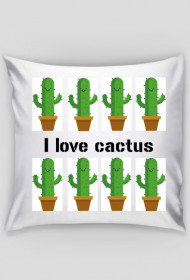 Poduszka : kaktus