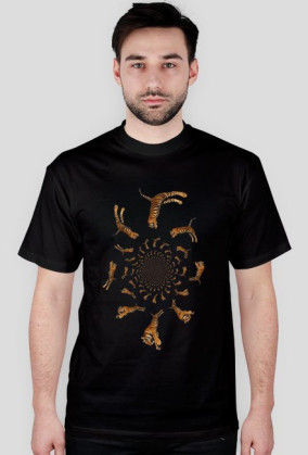 Tigers are everywhere