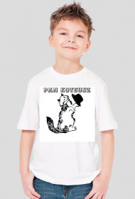 Pan Koteusz kot cat