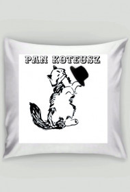 Pan Koteusz kot cat