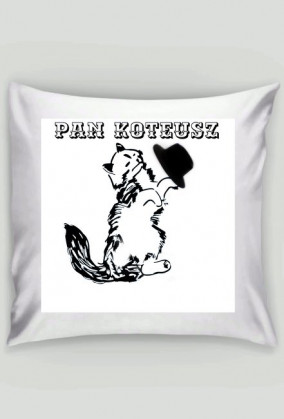 Pan Koteusz kot cat