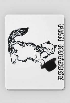 Pan Koteusz kot cat