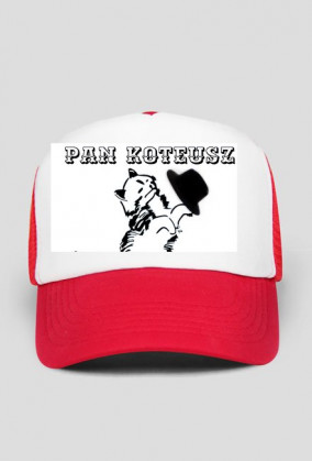 Pan Koteusz kot cat
