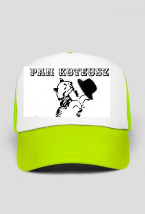 Pan Koteusz kot cat