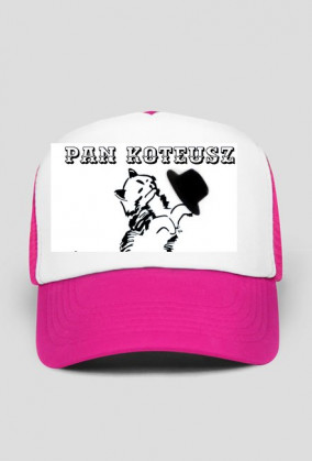 Pan Koteusz kot cat