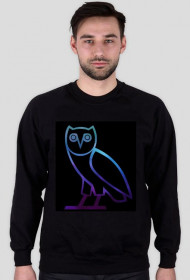 Owl Cosmic