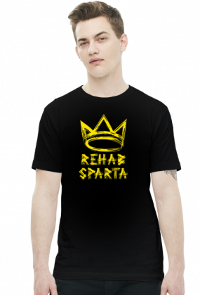 T-SHIRT MĘSKI V0013-1