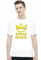 T-SHIRT MĘSKI V0013-1
