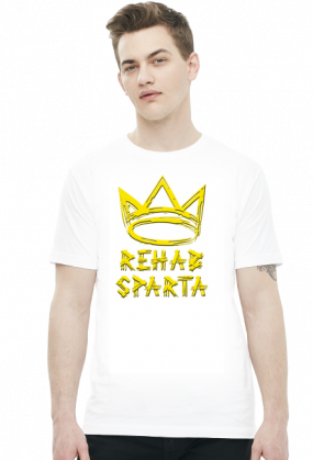 T-SHIRT MĘSKI V0013-1