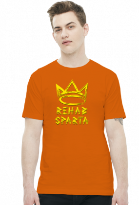 T-SHIRT MĘSKI V0013-1