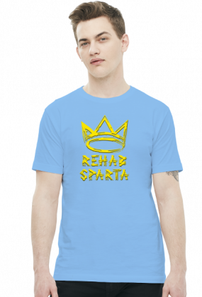 T-SHIRT MĘSKI V0013-1