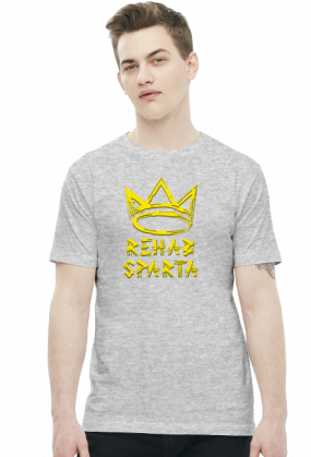 T-SHIRT MĘSKI V0013-1