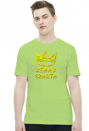 T-SHIRT MĘSKI V0013-1