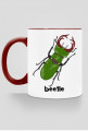 Beetle 01