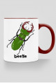 Beetle 01