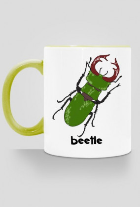Beetle 01