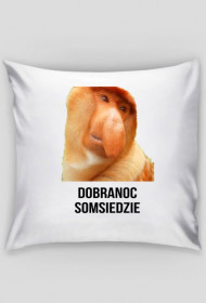 Poduszka "Dobranoc Somsiedzie"